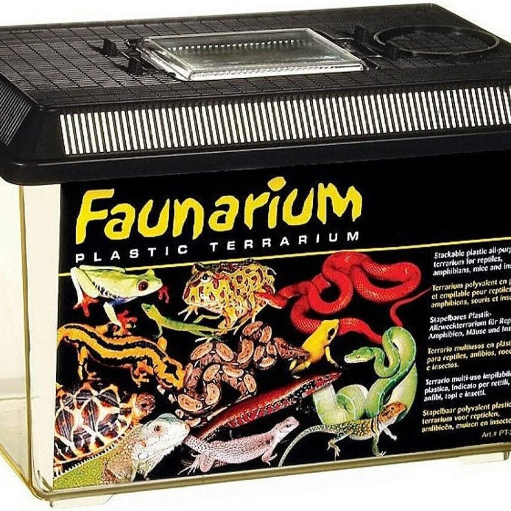 Faunarium, Plastic Reptile Terrarium, Medium, PT2260